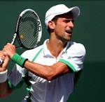 Djokovic peq
