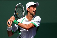 Djokovic peq
