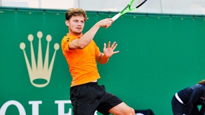 Goffin - Monte Carlo peq
